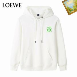 Picture of Loewe Hoodies _SKULoeweM-3XL25tn2710994